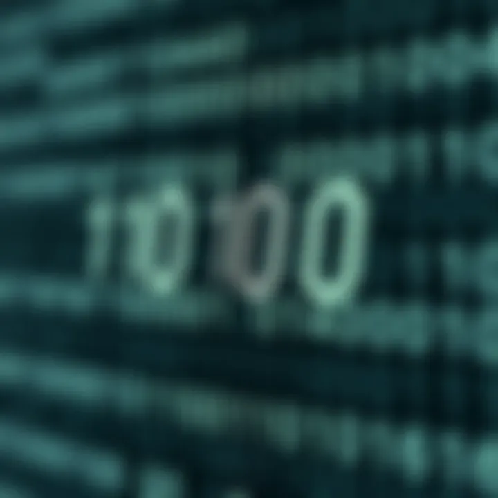 Visual example showing the conversion of a hexadecimal value into binary format with annotated segments